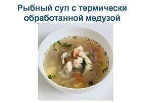 Знакомые продукты открываются заново — российские учёные превращают водоросли, мидии и медуз в источник здоровья Знакомые продукты открываются заново — российские учёные превращают водоросли, мидии и медуз в источник здоровья