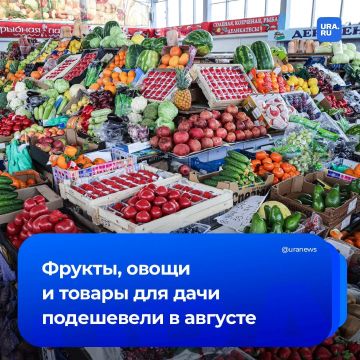Цены на фрукты, овощи и товары для дачи летят вниз