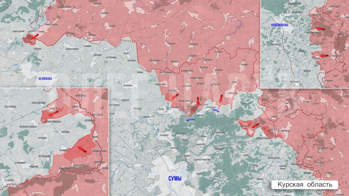 Олег Царёв: Фронтовая сводка 13 августа Олег Царёв: Фронтовая сводка 13 августа