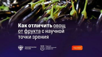 Помидор — ягода, а арбуз — нет?