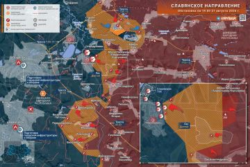 До Славянска ещё далеко. тактические успехи и опасные иллюзии