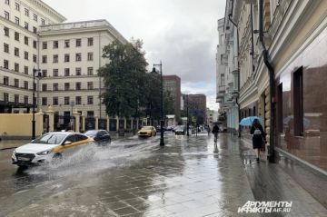 ������ � ������ 31 �������