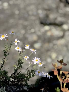 ���� ���������: �������: ����� ���� � �� ����� ����� ������ -