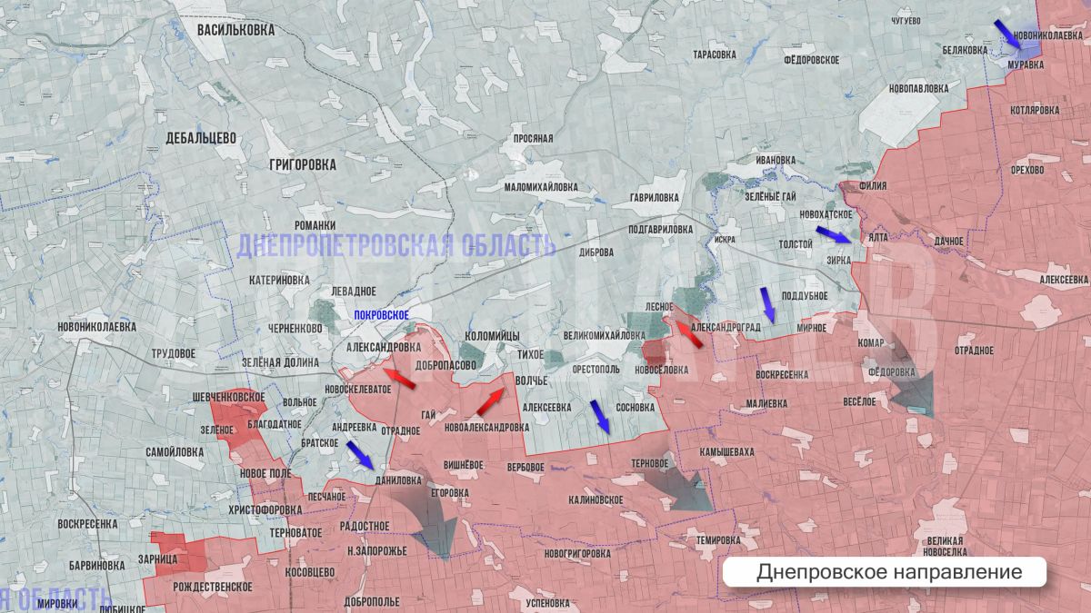 Олег Царёв: Фронтовая сводка 4 сентября Олег Царёв: Фронтовая сводка 4 сентября