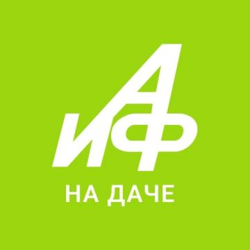 Не только шарлотка! Что делать с гигантским урожаем яблок на даче